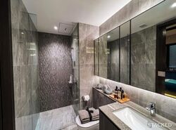 Piccadilly Grand (D8), Apartment #458810911